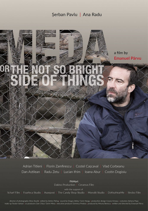 Movie poster for Meda or The Not So Bright Side of Things (2017)