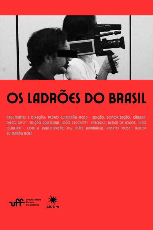 Movie poster for Brazilian Thieves