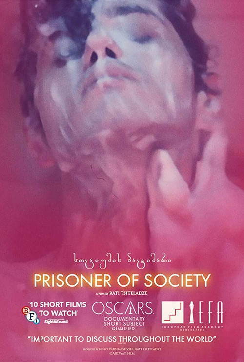 Movie poster for Prisoner of Society (2018)