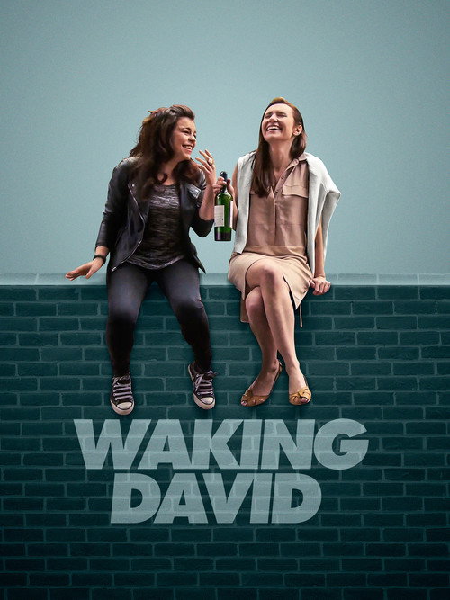 Movie poster for Waking David (2016)