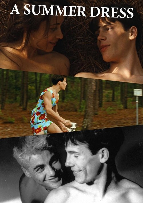 Movie poster for A Summer Dress (1996)