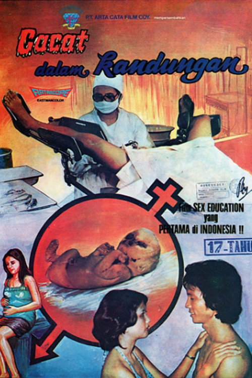 Movie poster for Defect in the Womb (1977)