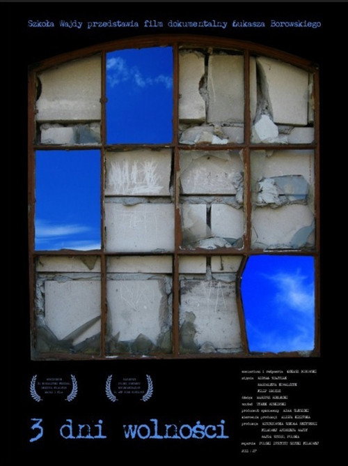 Movie poster for Three Days of Freedom (2011)