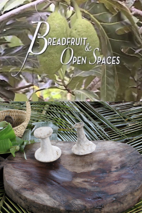 Movie poster for Breadfruit and Open Spaces (2012)
