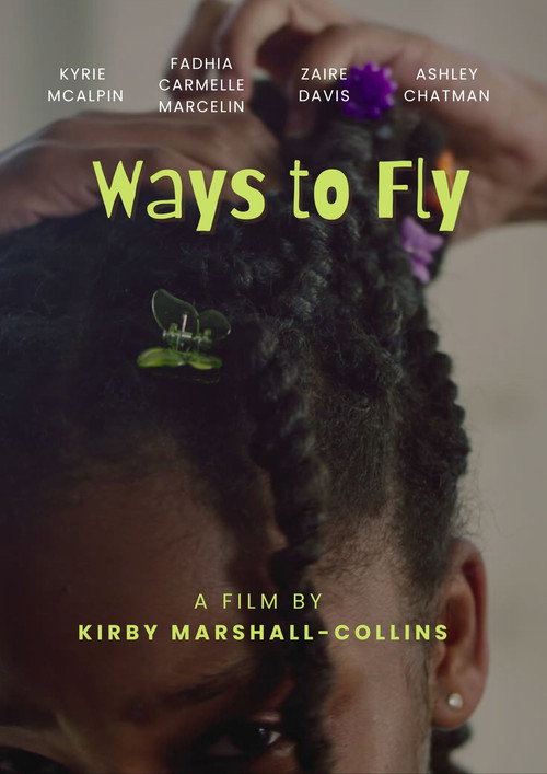 Movie poster for Ways to Fly (2025)