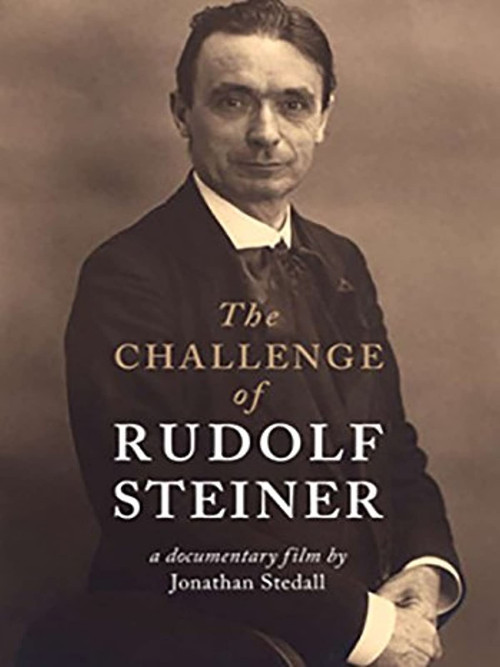 Movie poster for The Challenge of Rudolf Steiner (2011)