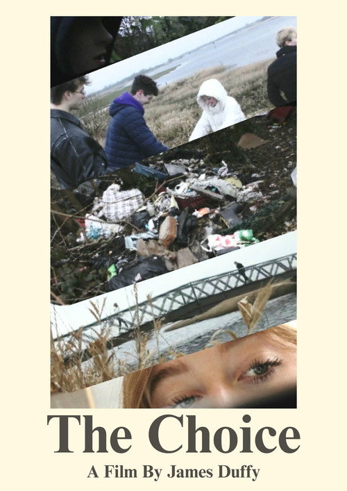 Movie poster for The Choice: Illegal Dumping