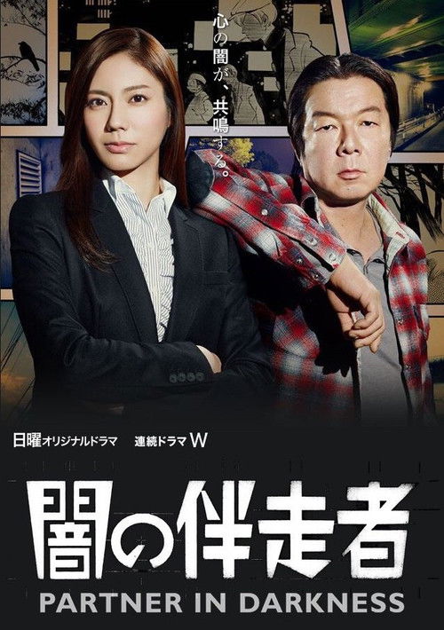 Partner In Darkness poster