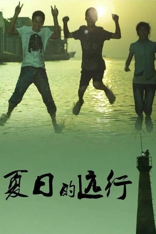 Movie poster for Summer travel (2011)