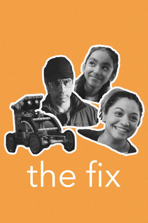 Movie poster for the fix (2023)
