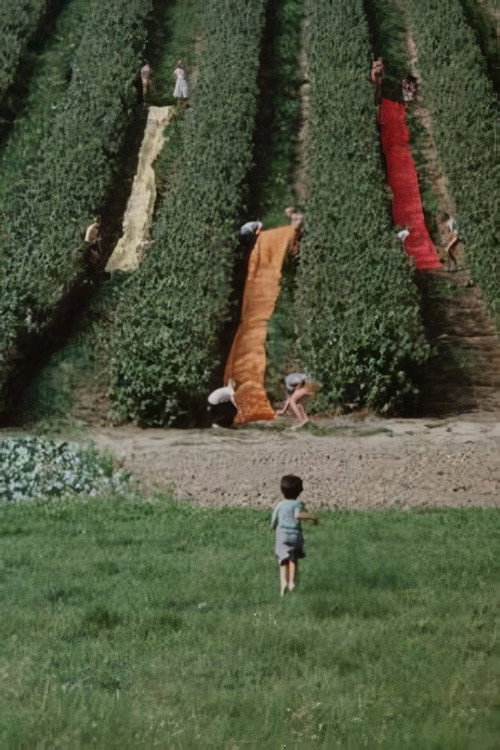 Movie poster for Colour (1982)