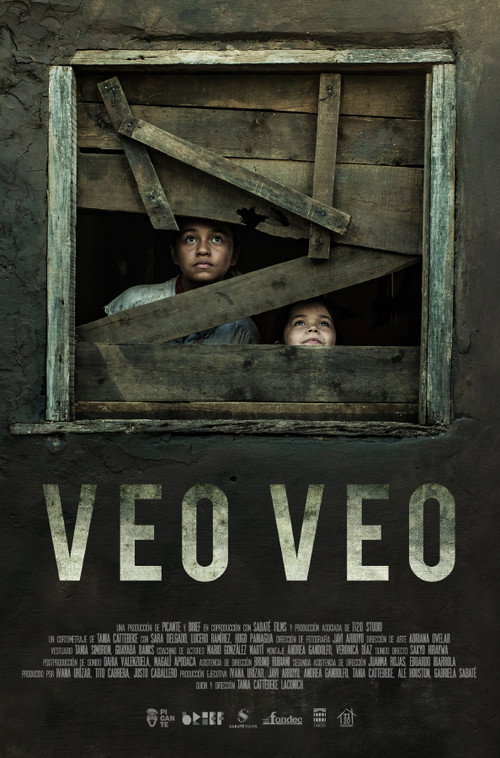 Movie poster for What Do You See? (2019)