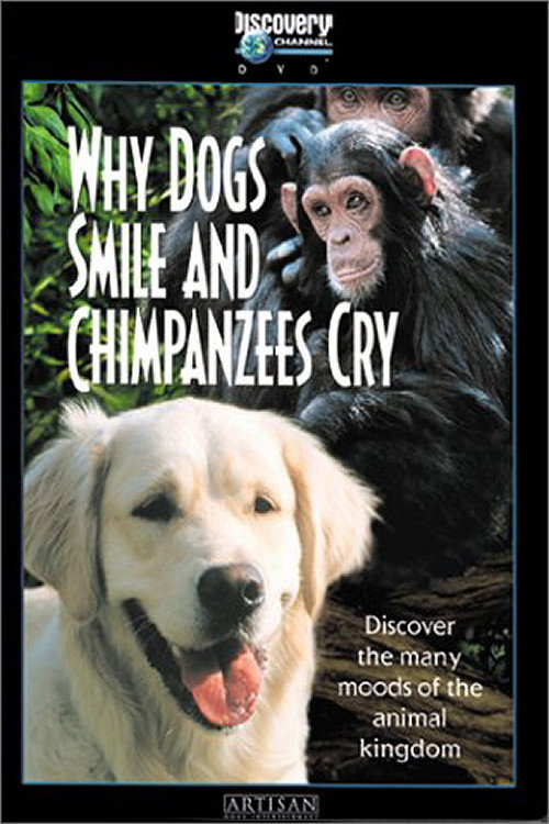 Movie poster for Why Dogs Smile and Chimpanzees Cry (1999)