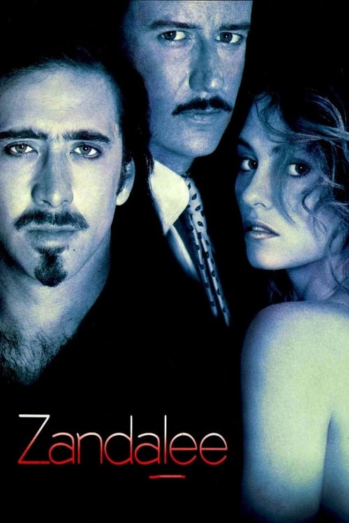 Movie poster for Zandalee (1991)