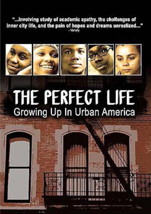 Movie poster for The Perfect Life (2006)