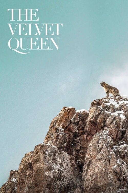 Movie poster for The Velvet Queen (2021)