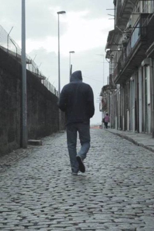 Movie poster for Video Surveillance (2012)