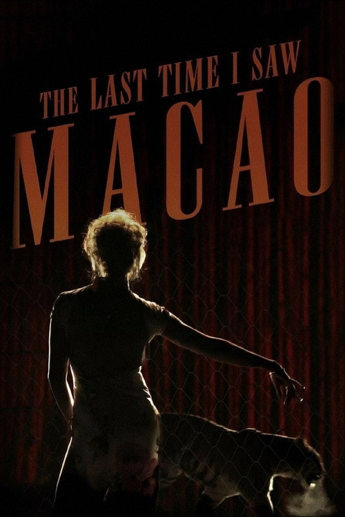 Movie poster for The Last Time I Saw Macao (2013)