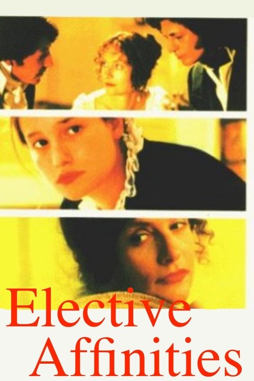 Movie poster for Elective Affinities (1996)