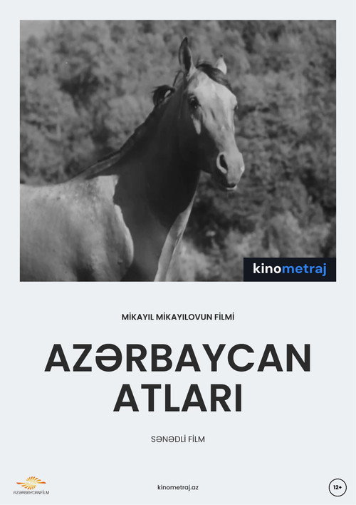 Movie poster for Azerbaijani Horses (1953)