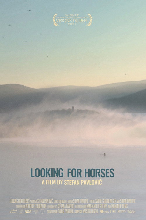 Movie poster for Looking for Horses (2021)