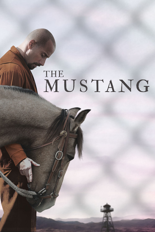 Movie poster for The Mustang (2019)