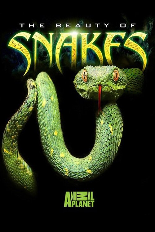 Movie poster for The Beauty of Snakes (2003)