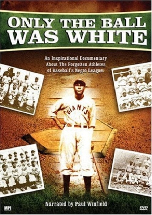 Movie poster for Only the Ball Was White (1980)
