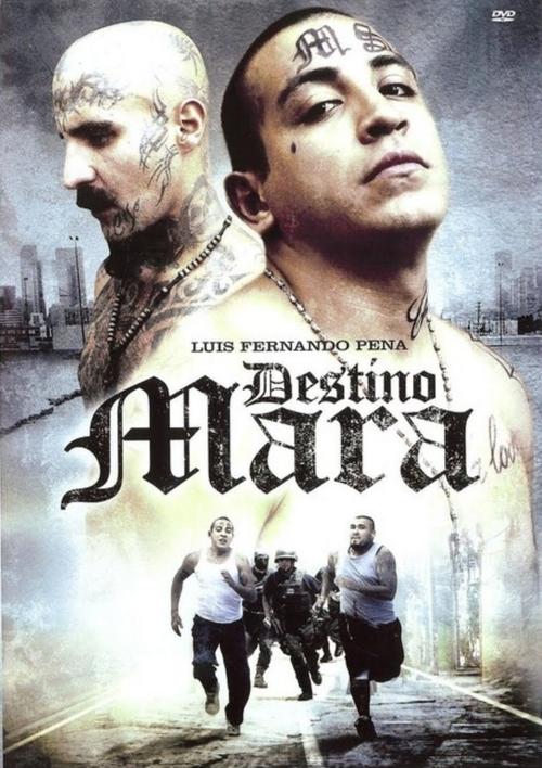 Movie poster for Destino Mara (2010)