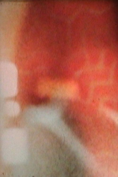 Movie poster for Along with the Phoenix (2008)