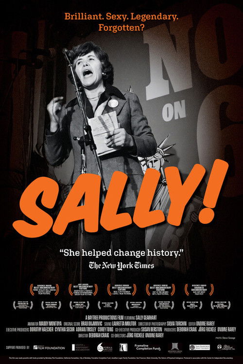 Movie poster for Sally! (2024)