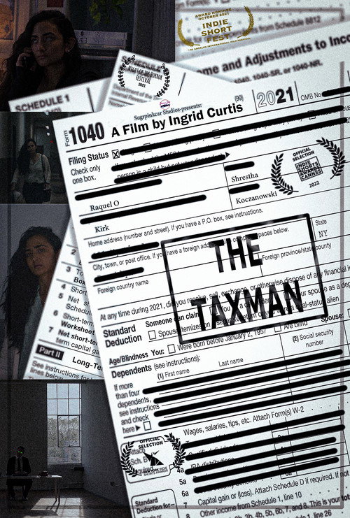 Movie poster for The Taxman (2021)