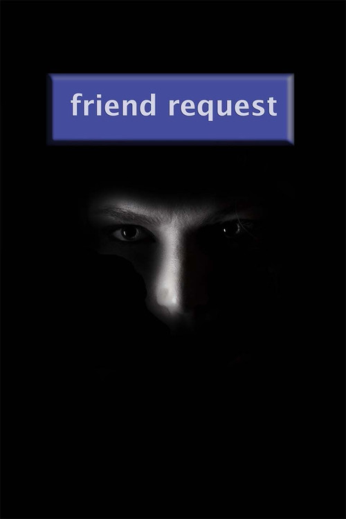 Movie poster for Friend Request (2013)