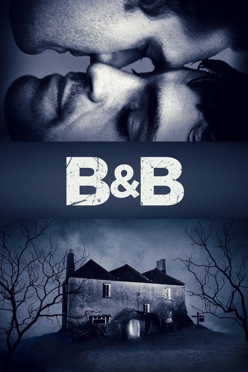 Movie poster for B&B (2017)