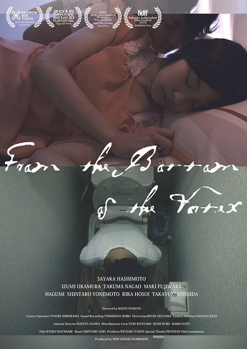 Movie poster for From the Bottom of the Vortex (2015)