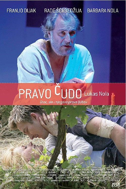 Movie poster for True Miracle (2007)