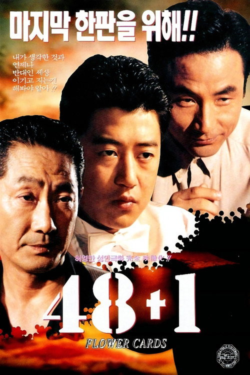 Movie poster for 48 + 1 (1995)