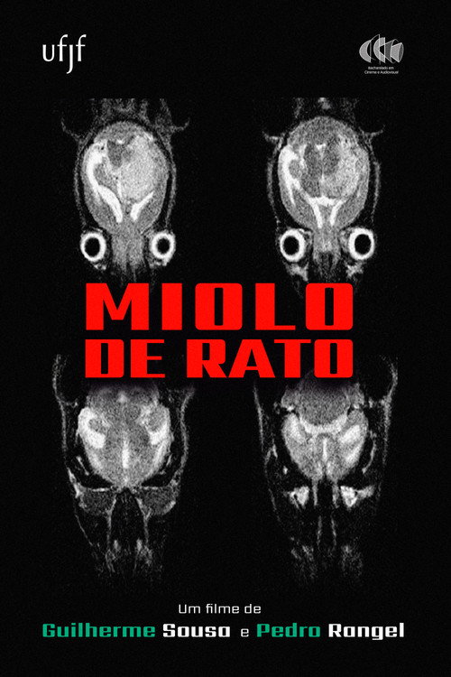 Movie poster for Miolo de Rato