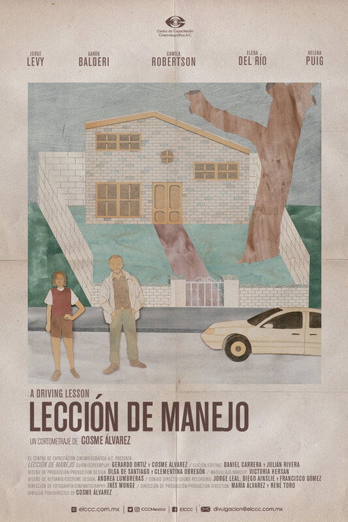 Movie poster for A Driving Lesson (2023)
