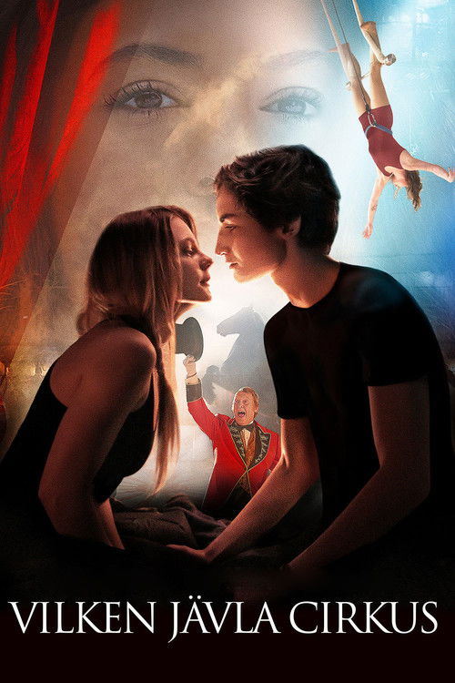 Movie poster for Mending Hugo's Heart (2017)