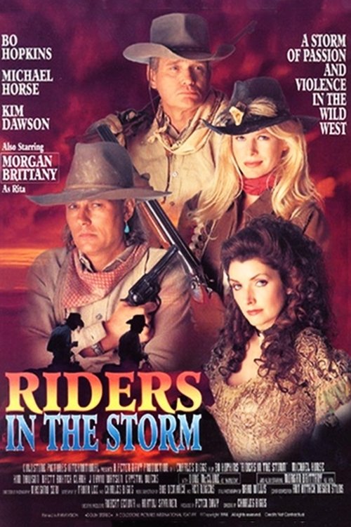 Movie poster for Riders in the Storm (1995)