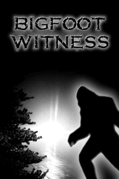 Movie poster for Bigfoot Witness (2015)