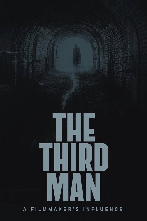 Movie poster for The Third Man: A Filmmaker's Influence (2015)
