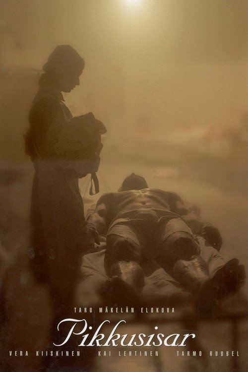 Movie poster for Little Sister (1999)