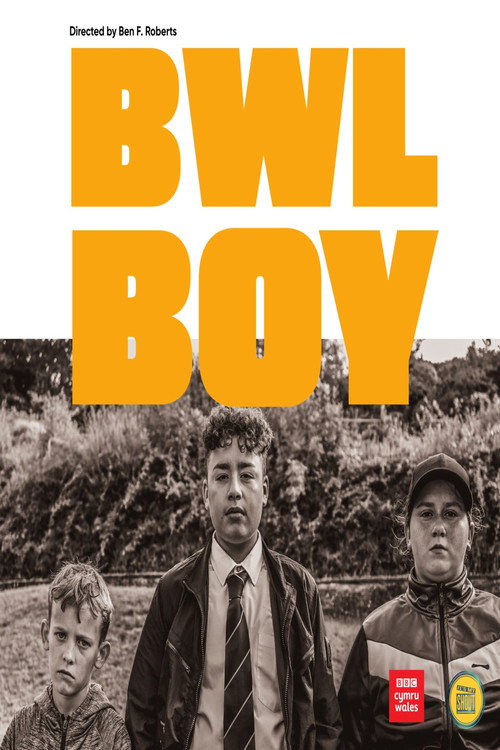 Movie poster for Bwl Boy (2022)