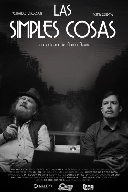 Movie poster for Las simples cosas (2024)