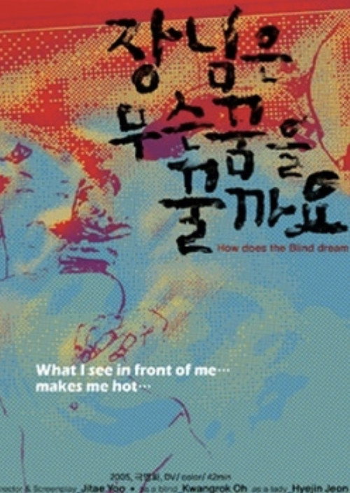 Movie poster for How Does the Blind Dream (2005)