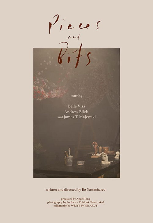 Movie poster for Pieces & Bits