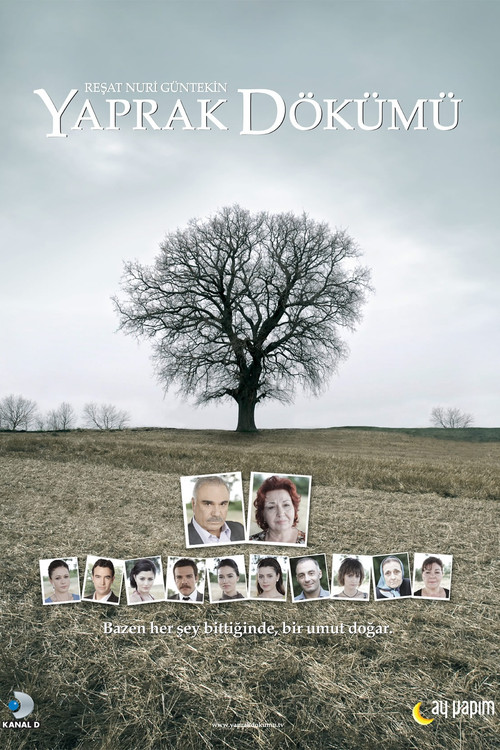 Falling Leaves poster