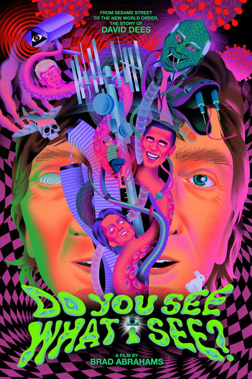 Movie poster for Do You See What I See? (2020)